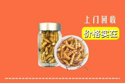 收购资讯:河池天峨县回收散虫草
