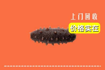 收购资讯:河池天峨县回收海参